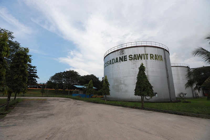 Berikut Strategi Cisadane Sawit Raya (CSRA) di Tahun 2021