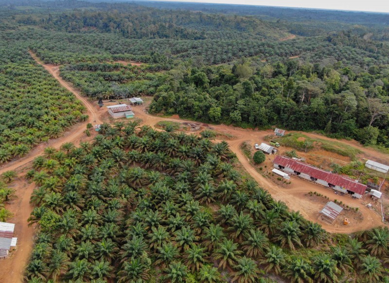 Musi Rawas Utara Estate