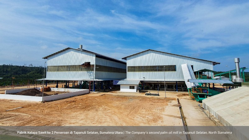 Tapanuli Selatan Mill