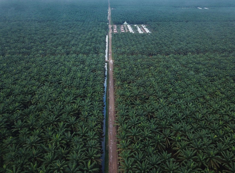 Labuhanbatu Estate